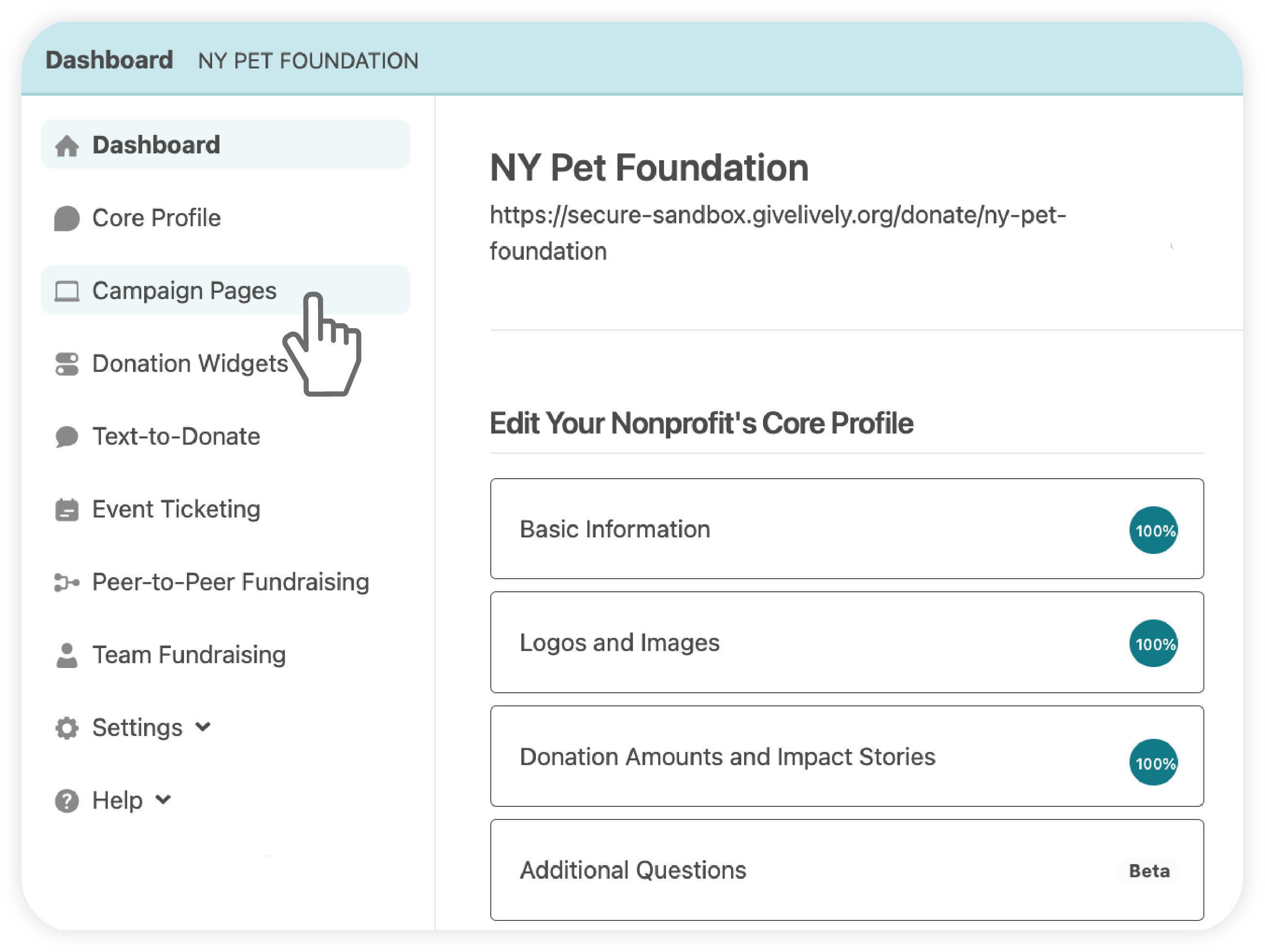 A screenshot of the Campaign Page view in the Nonprofit Admin Portal. 